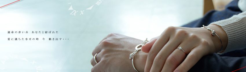 �V��R���N�V�����Ԃ�������A�N�Z�T���[�̃u�����h