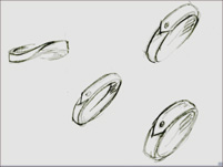 ���t�搧��