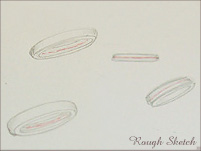 ���t�搧��