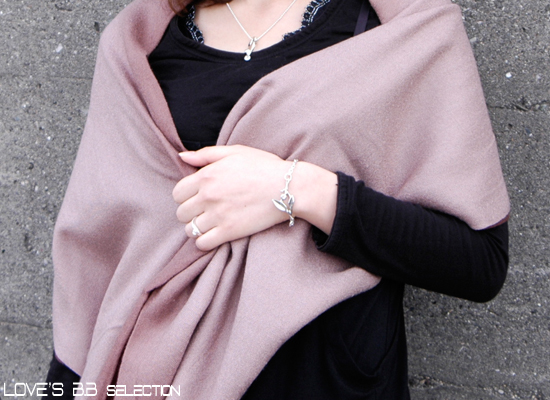 �u�����h�A�N�Z�T���[ Model Image1