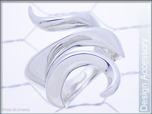 �{���f�B�[�X�����Oor�V���o�[�����O�摜�ڍׁ{