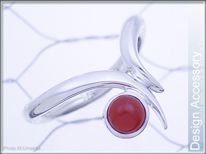 �{���f�B�[�X�����Oor�V���o�[�����O�摜�ڍׁ{