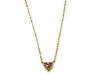 K18���v�`�l�b�N���X�摜���S�[���h�̃n�[�g���A���V�X�g