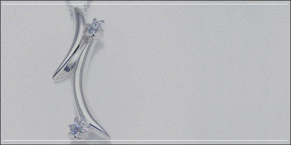 SEASONAL�g�p�[�Y�Q �l�b�N���X(�u���[)